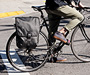 Cog Pannier Model